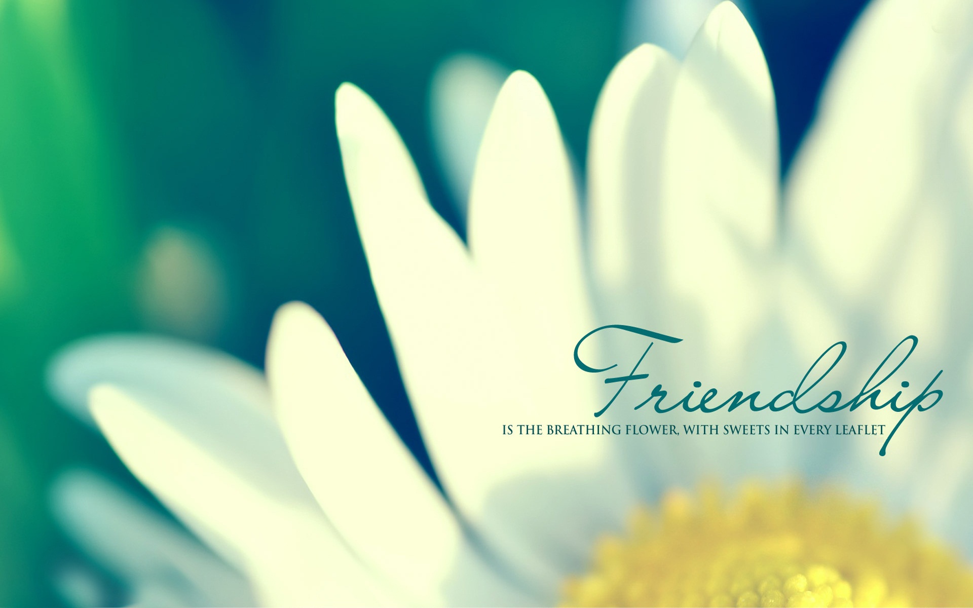 Friendship Day